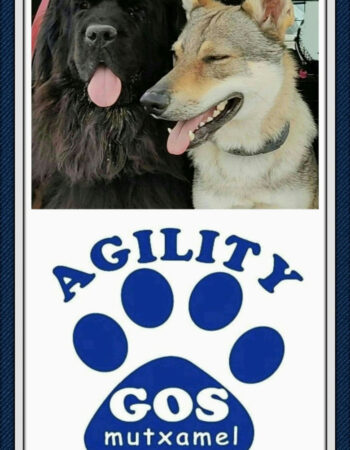 Agility Gos Mutxamel