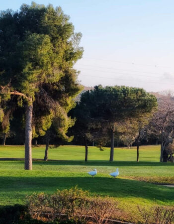 Bonalba Golf Resort