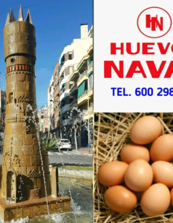 Huevos Navas